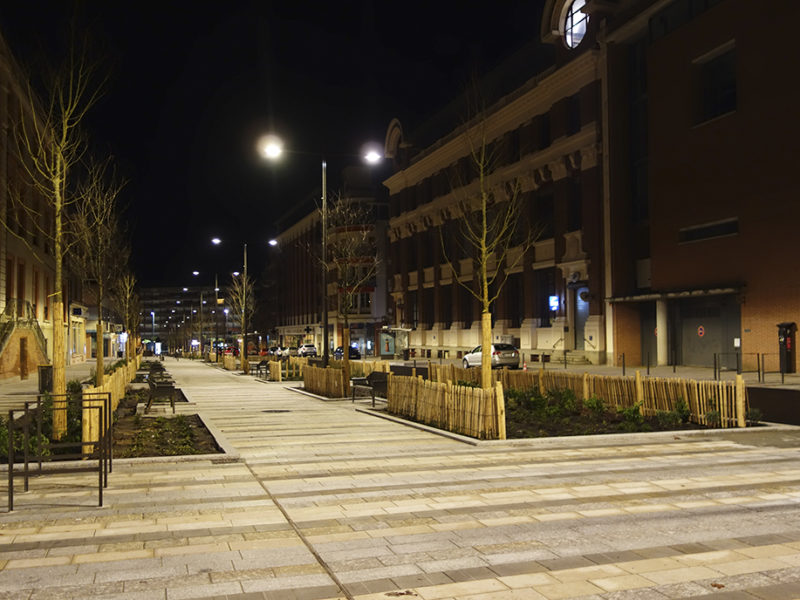 Cœur de ville de Montauban
